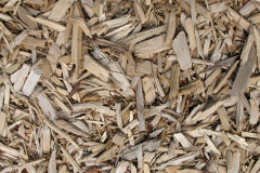 biomass boilers Larne